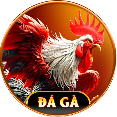 Đá gà mm88 hấp dẫn