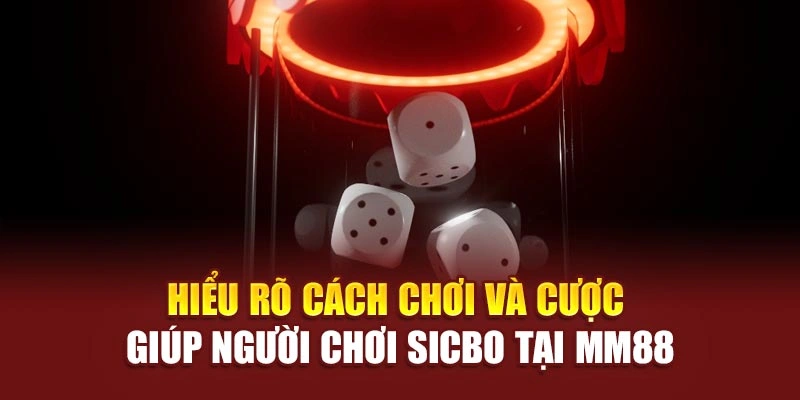 Hiểu rõ cách chơi và cược giúp người chơi sicbo