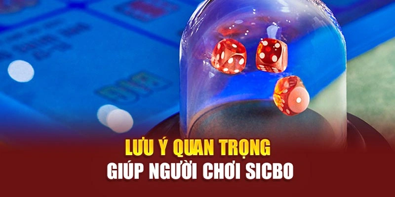 Lưu ý quan trọng giúp người chơi sicbo